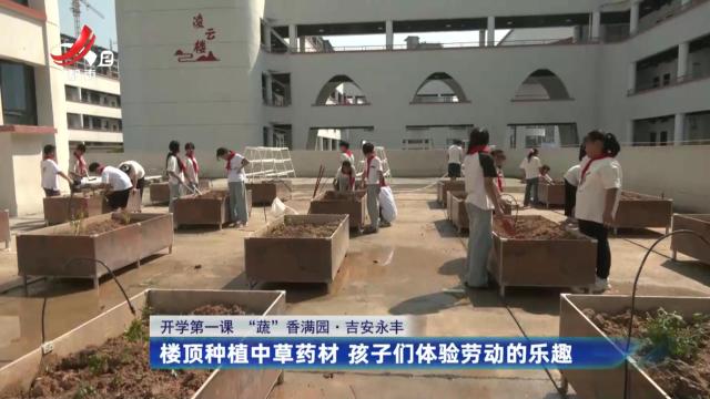 【开学第一课 “蔬”香满园】吉安永丰：楼顶种植中草药材 孩子们体验劳动的乐趣
