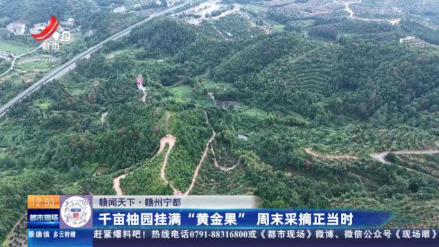 都市现场·午间版20250926