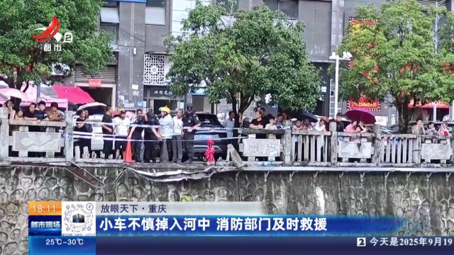 【放眼天下】重庆：小车不慎掉入河中 消防部门及时救援