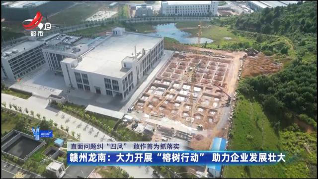 【直面问题纠“四风” 敢作善为抓落实】赣州龙南：大力开展“榕树行动” 助力企业发展壮大