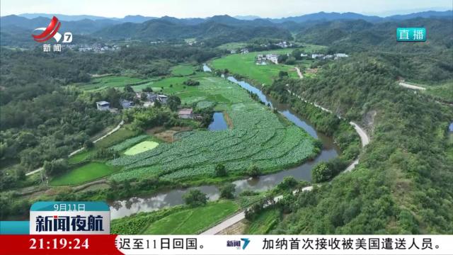 新闻夜航20250911