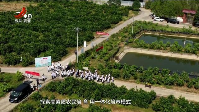 五哥帮忙团20250911