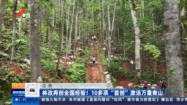 江西：林改再创全国经验！10多项“首创”激活万重青山