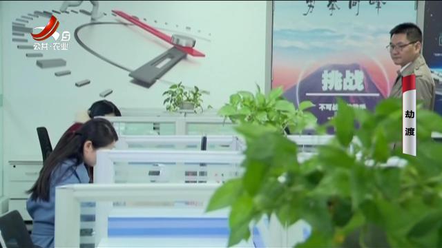 乡村栏目剧场20250902 劫渡