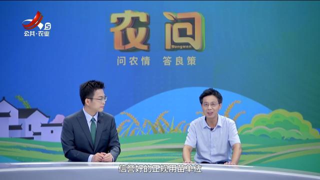 农问20250912