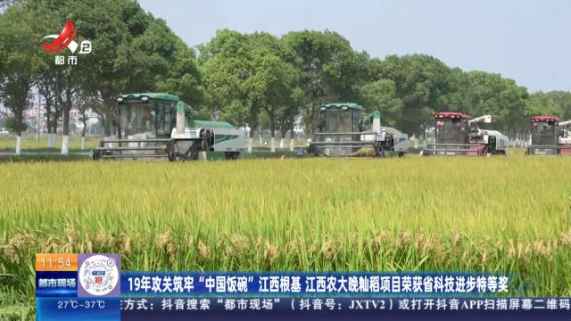19年攻关筑牢“中国饭碗”江西根基 江西农大晚籼稻项目荣获省科技进步特等奖