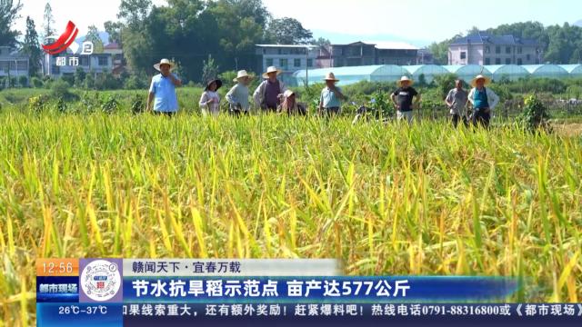 【赣闻天下】宜春万载：节水抗旱稻示范点 亩产达577公斤