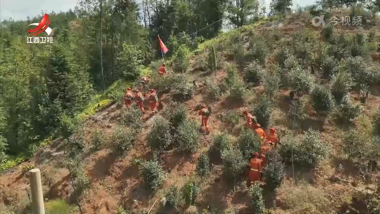 严把防火关 筑牢森林防火屏障