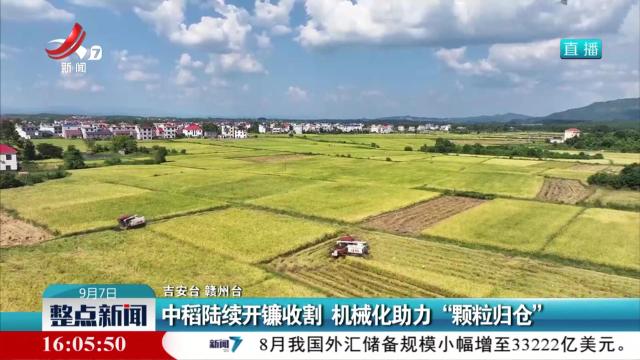 中稻陆续开镰收割 机械化助力“颗粒归仓”