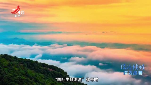 向世界推介江西20250914