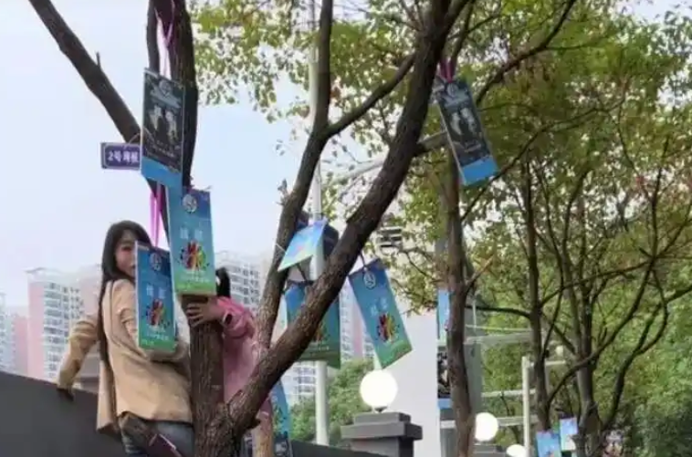 长天新闻丨江右锐评：“树上挂票”玩梗出新，“卖点”在哪？