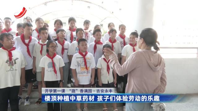 【开学第一课 “蔬”香满园】吉安永丰：楼顶种植中草药材 孩子们体验劳动的乐趣