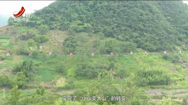 农问20250919
