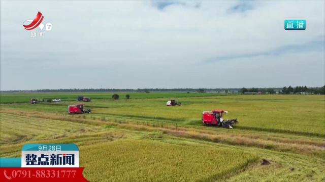 江西：高标准农田抗旱稳产保丰收