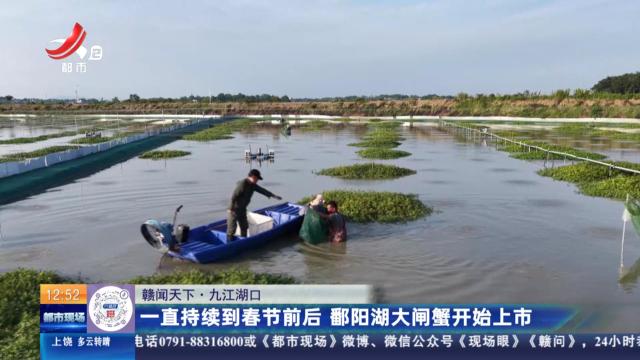 【赣闻天下】九江湖口：一直持续到春节前后 鄱阳湖大闸蟹开始上市