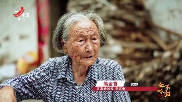 血岭不归1938·万家岭大捷