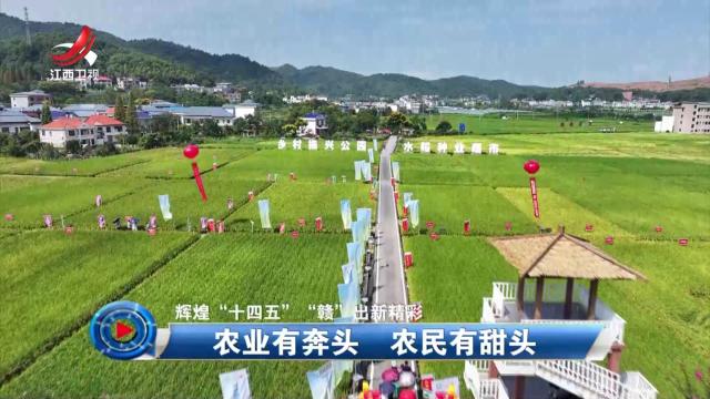 社会传真20250918 【辉煌“十四五” “赣”出新精彩】农业有奔头 农民有甜头