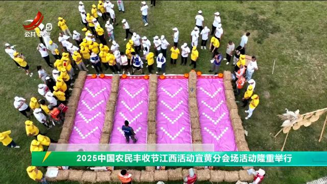 三农头条20250924