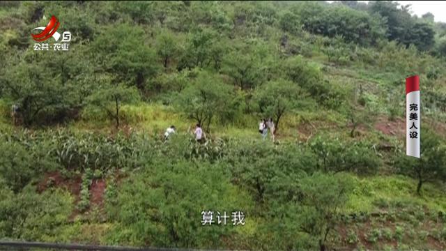 乡村栏目剧场20250919 完美人设