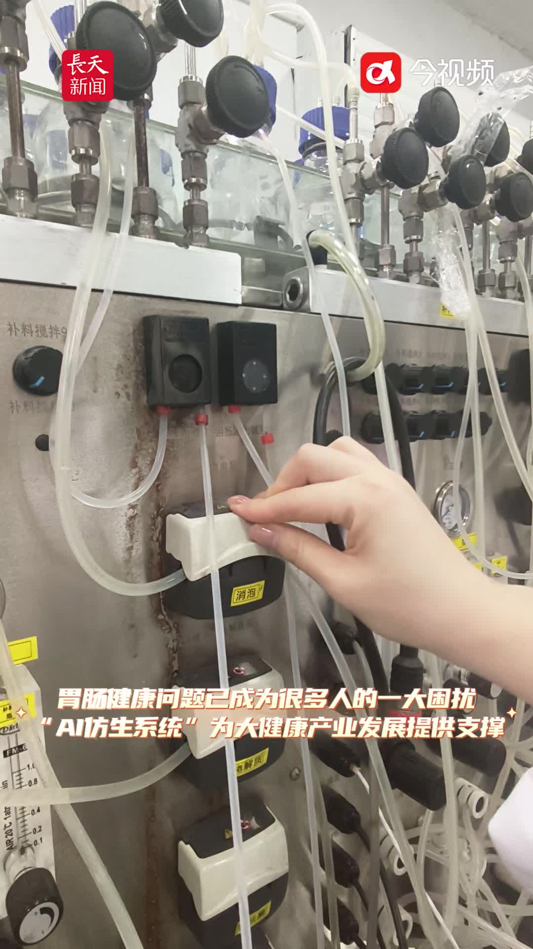 AI仿生胃肠“直播”食物消化全过程，这项“江西智造”达到顶尖水平