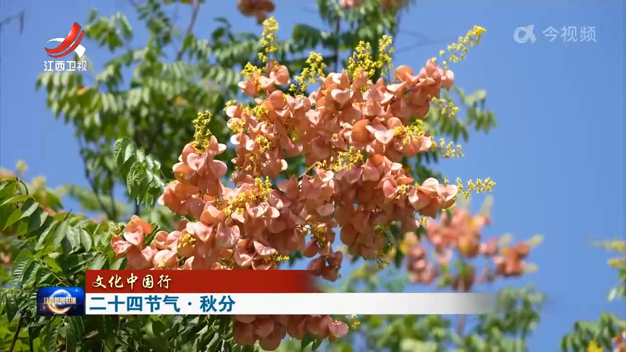 【文化中国行】二十四节气·秋分