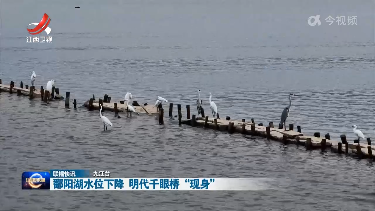 鄱阳湖水位下降 明代千眼桥“现身”