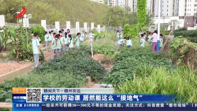 【赣闻天下】赣州安远：学校的劳动课 居然能这么“接地气”