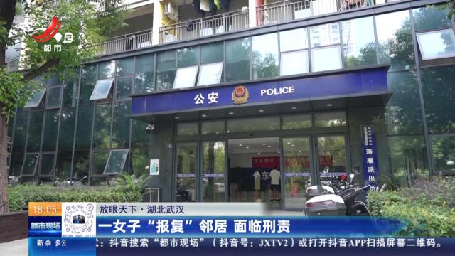 【放眼天下】湖北武汉：一女子“报复”邻居 面临刑责