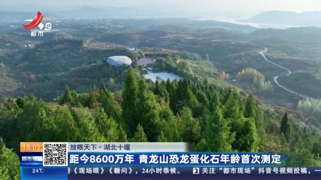 都市现场20250914