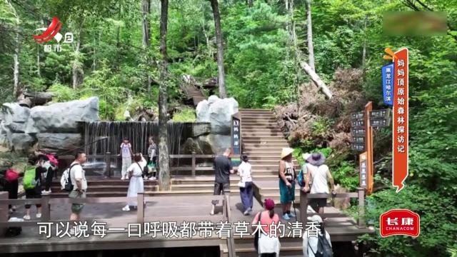 地宝当家20250911
