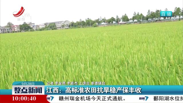 江西：高标准农田抗旱稳产保丰收