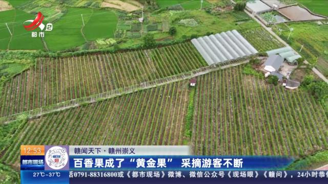 【赣闻天下】赣州崇义：百香果成了“黄金果” 采摘游客不断