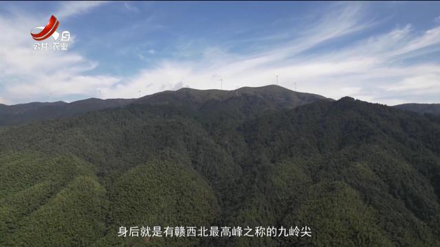 稻花香里20250930 乡村振兴进行时——靖安美景撩人 民宿带来财富