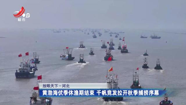 【放眼天下】河北：黄渤海伏季休渔期结束 千帆竞发拉开秋季捕捞序幕