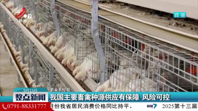【农业农村部】我国主要畜禽种源供应有保障 风险可控