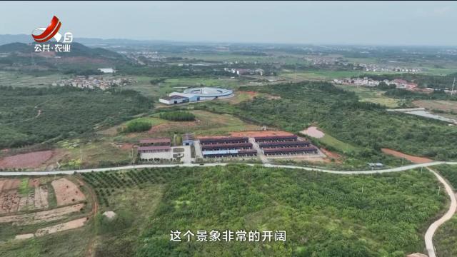 从田园到餐桌20250913