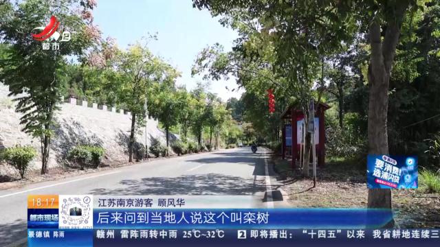 【赣闻天下】景德镇浮梁：秋意渐浓 栾果红了