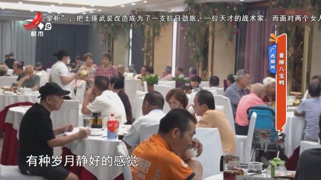 广西柳州：春柳八宝鸭