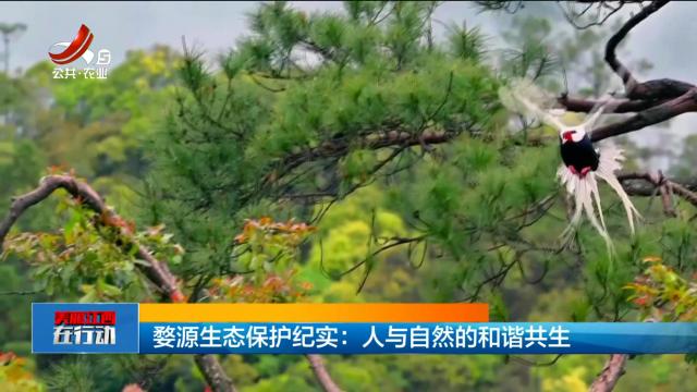美丽江西在行动20250921 婺源生态保护纪实：人与自然的和谐共生