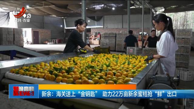 新余：海关送上“金钥匙” 助力22万亩新余蜜桔抢“鲜”出口