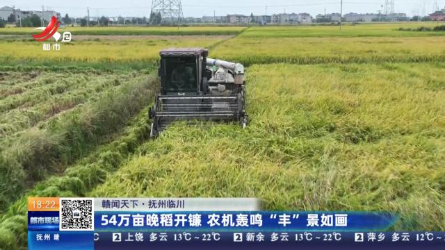 【赣闻天下】抚州临川：54万亩晚稻开镰 农机轰鸣“丰”景如画