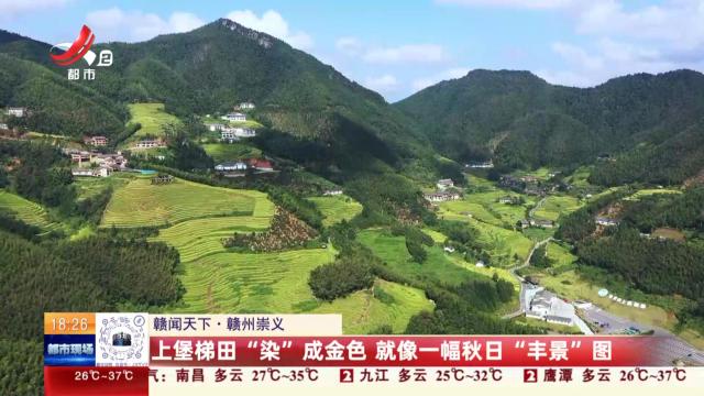 【赣闻天下】赣州崇义：上堡梯田“染”成金色 就像一幅秋日“丰景”图