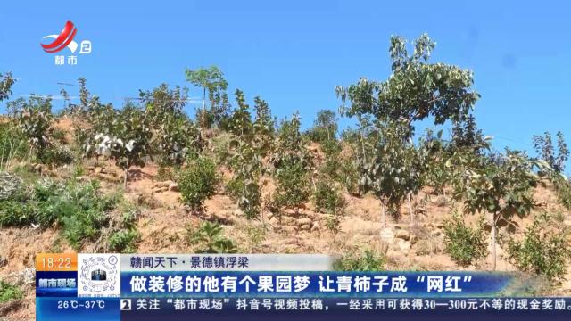 【赣闻天下】景德镇浮梁：做装修的他有个果园梦 让青柿子成“网红”