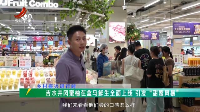稻花香里20251015 乡村振兴进行时——吉水井冈蜜柚在盒马鲜生全面上线 引发“甜蜜风暴”
