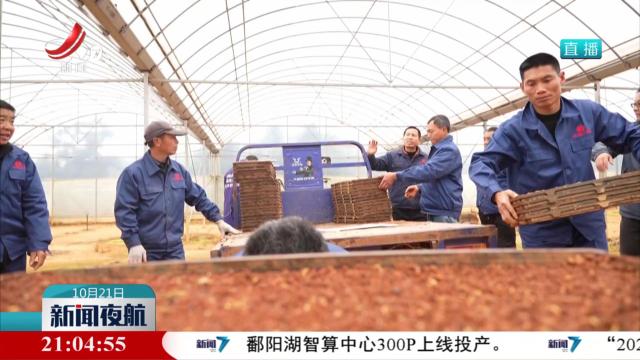 江西：用好高效新技术 保障油菜秋冬种生产