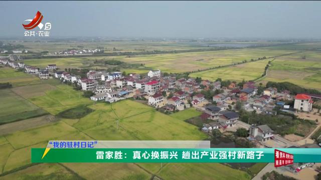 三农头条20251022