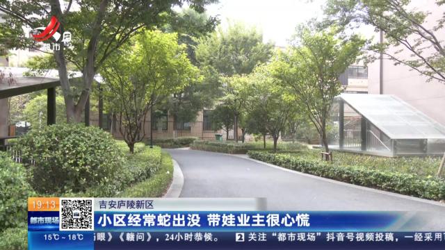 吉安庐陵新区：小区经常蛇出没 带娃业主很心慌