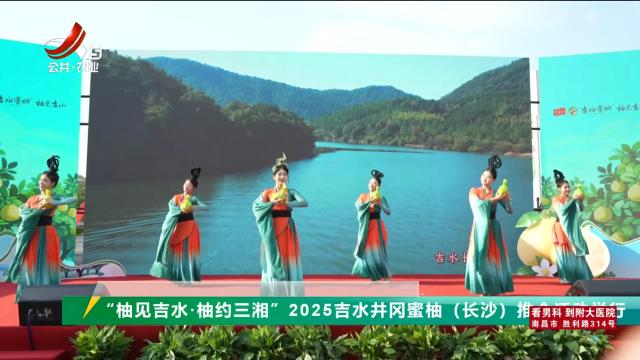 三农头条20251013
