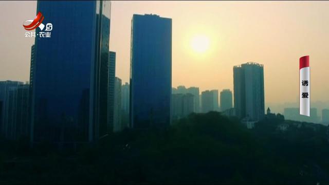 乡村栏目剧场20251012 诱爱