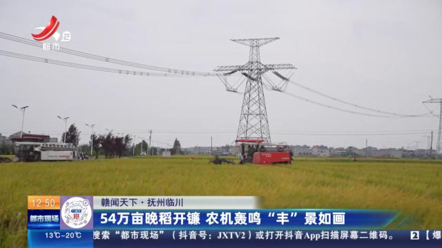 【赣闻天下】抚州临川：54万亩晚稻开镰 农机轰鸣“丰”景如画